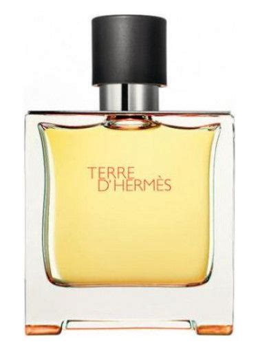 perfume similar to terre d hermes